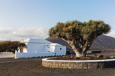 《女神异闻录5：战略版》主人公Joker预告片分享